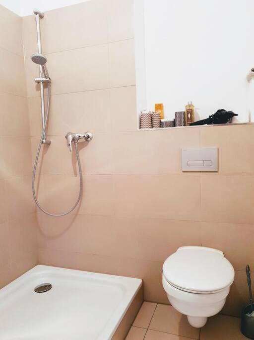 Design Prenzlauer Berg Appartement Berlijn